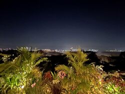 Shamrock Park (D10), Apartment #462612481